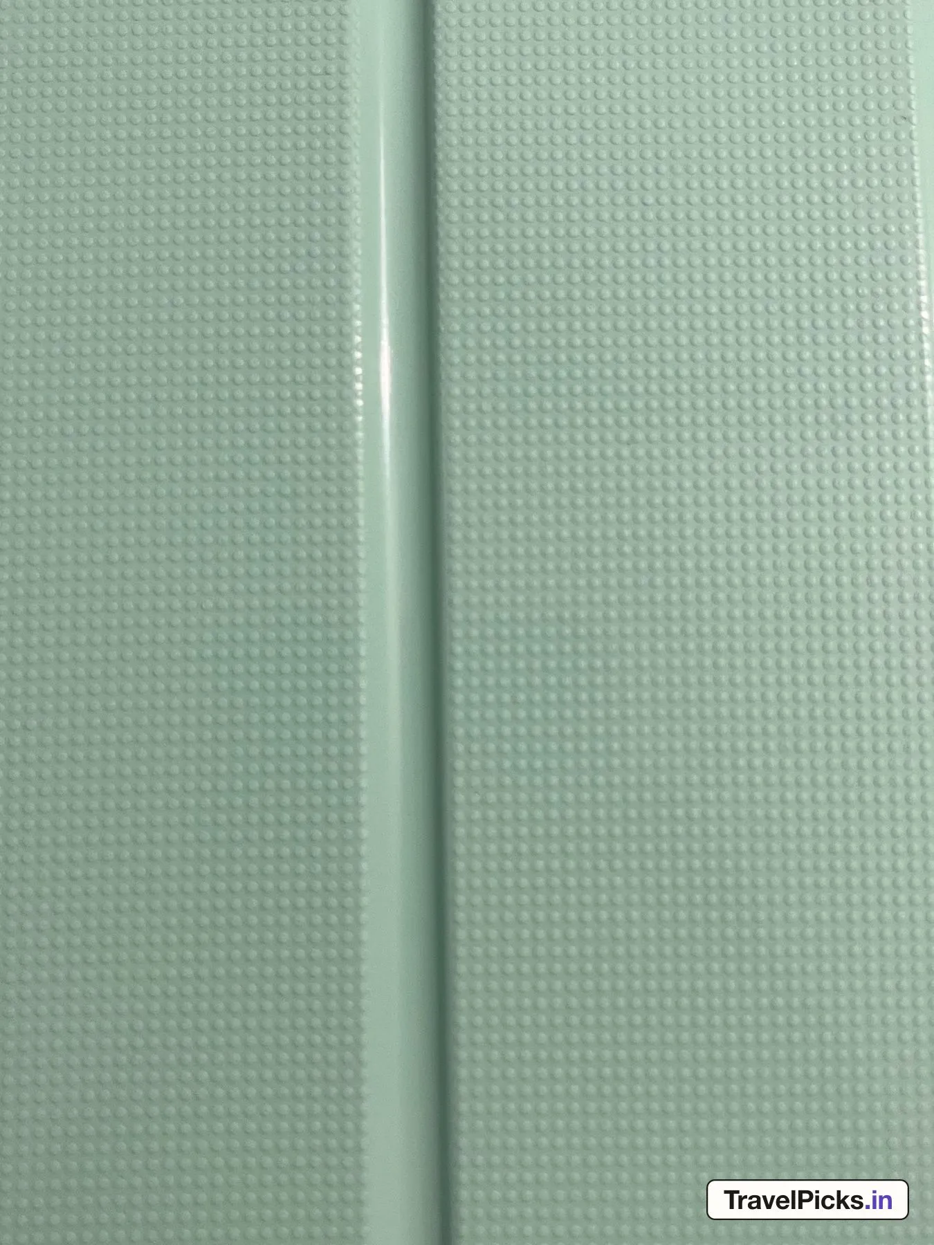 Close view of the shell showing rows of small raised dots on either side of one smooth, glossy rib channel.